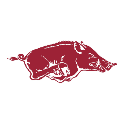 Razorback-Inspired for Practice Design 04