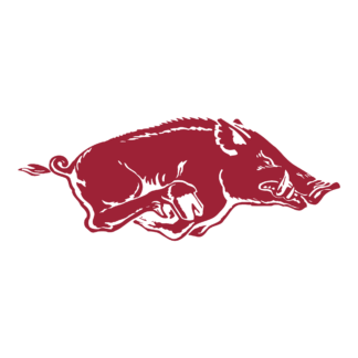 Razorback-Inspired for Practice Design 04