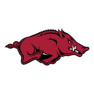 Razorback-Inspired for Practice Design 13