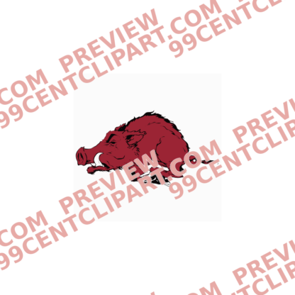 Razorback-Inspired for Practice Design 16