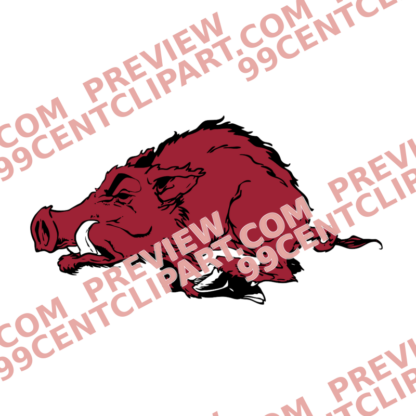Razorback-Inspired for Practice Design 21