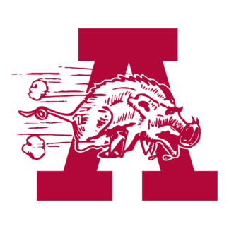 Razorback-Inspired for Practice Design 23