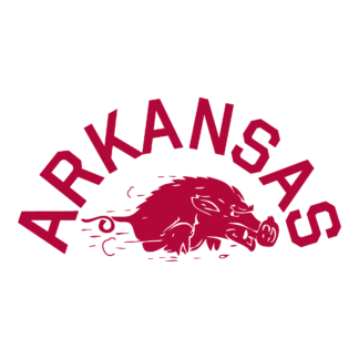 Razorback-Inspired for Practice Design 24