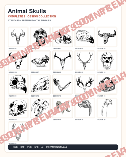 21 Animal Skulls Designs | Standard & Premium Bundles