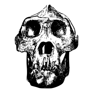 Animal Skulls Design 02 | SVG, DXF & PNG
