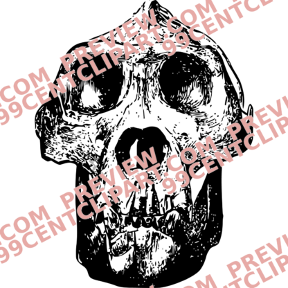 Animal Skulls Design 02 | SVG, DXF & PNG