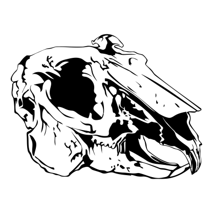 Animal Skulls Design 03 | SVG, DXF & PNG