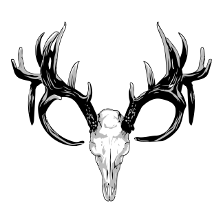 Animal Skulls Design 14 | SVG, DXF & PNG