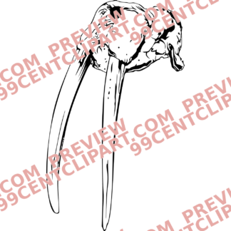 Animal Skulls Design 20 | SVG, DXF & PNG
