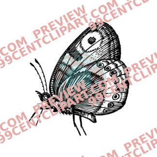 Bugs & Insects Design 03 | PNG