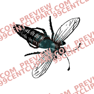 Bugs & Insects Design 04 | PNG