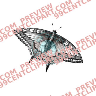 Bugs & Insects Design 09 | PNG