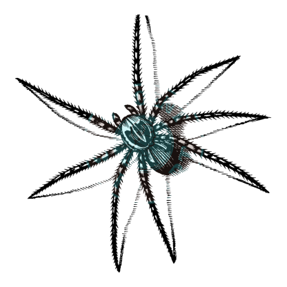 Bugs & Insects Design 11 | PNG