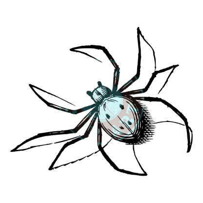 Bugs & Insects Design 15 | PNG