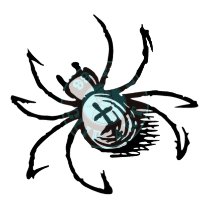 Bugs & Insects Design 16 | PNG