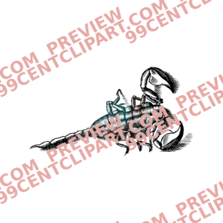 Bugs & Insects Design 21 | PNG