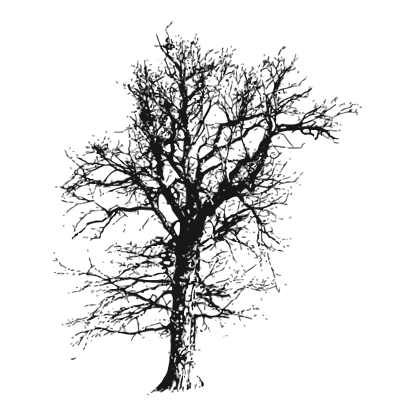 Tree Silhouettes Design 07 | SVG, DXF & PNG