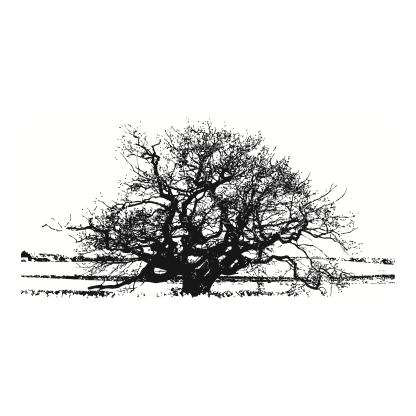 Tree Silhouettes Design 14 | SVG, DXF & PNG