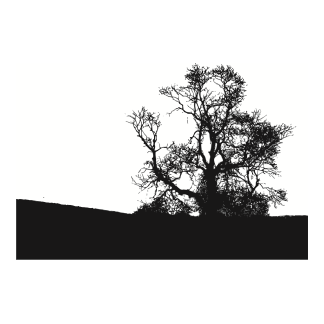 Tree Silhouettes Design 15 | SVG, DXF & PNG