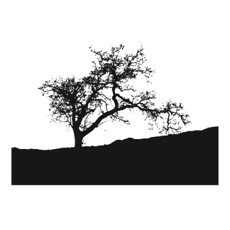 Tree Silhouettes Design 16 | SVG, DXF & PNG