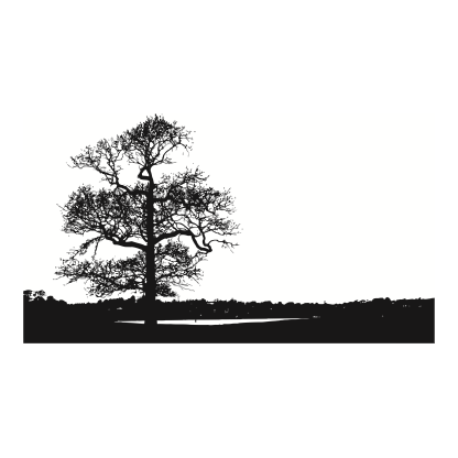 Tree Silhouettes Design 17 | SVG, DXF & PNG