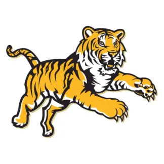 LSU-Inspired for Practice Design 09 | SVG