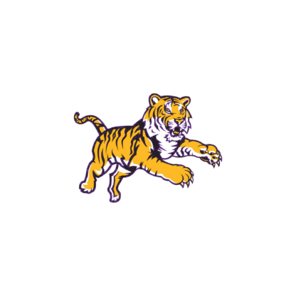 LSU-Inspired for Practice Design 13