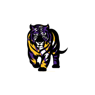 LSU-Inspired for Practice Design 15